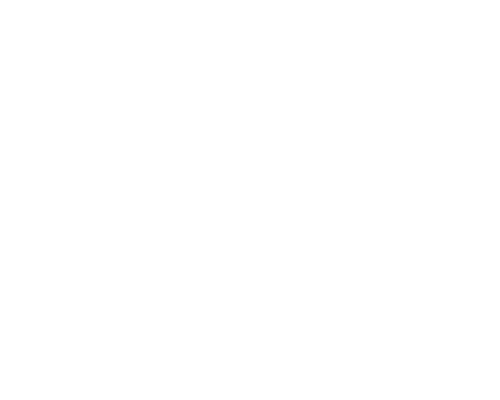 logo_fox